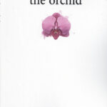 The orchid (ارکیده)