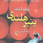 پنیر هلندی