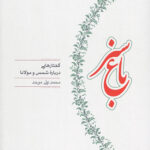 باغ سبز (گفتارهایی درباره شمس و مولانا)