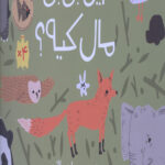 این پی پی مال کیه