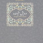 درویش ستیهنده