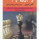 رهبری چابک