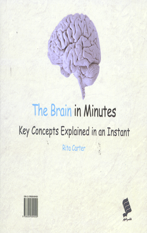 مغز انسان در چند دقیقه