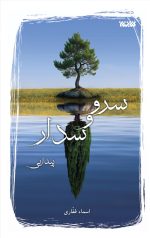 سرو و سدار