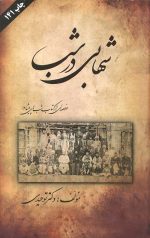 شهابی در شب