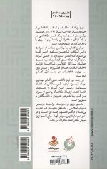 من اطلاعاتی بودم 2