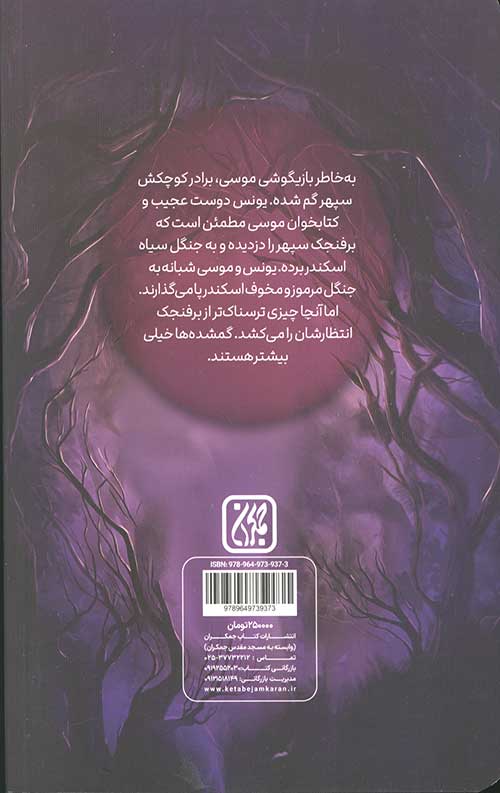 راز جنگ آینه