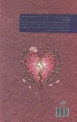 روزی روزگاری دلی شکسته