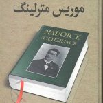 اندیشه های یک مغز بزرگ