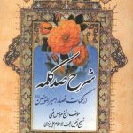 شرح صد کلمه از کلمات قصار امیرالمومنین