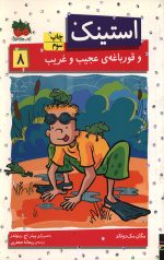 استینک 8