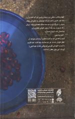 مسافر انارستان