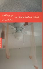 تابستان غم انگیز ساموئل اس