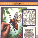 رنگ آمیزی بزرگسالان (حشرات)