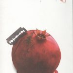 سه گزارش کوتاه درباره‌ی نوید و نگار