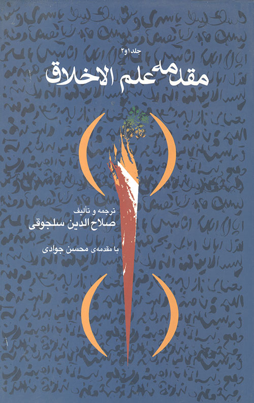 صلاح الدین سلجوقی
